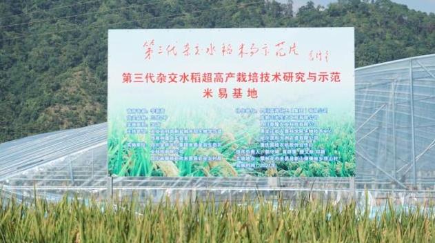 第三代杂交水稻单季亩产创新纪录