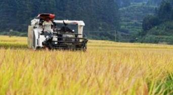 农业农村部要求毫不放松抓好秋冬种