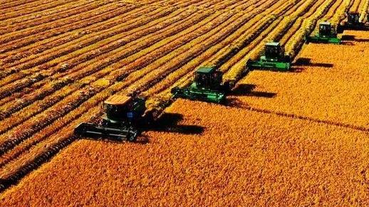 粮食保供稳价政策之下：莫让种粮成本侵蚀农民收益