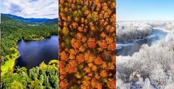 COP15：这是黑龙江，这里有大森林、大草原、大湿地.....