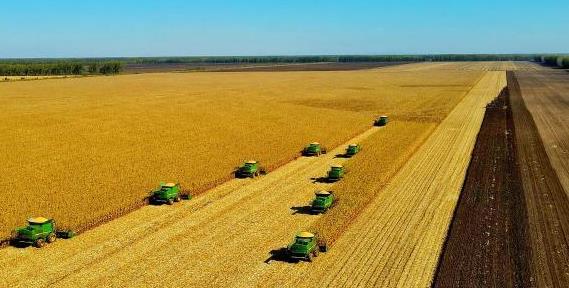 我国粮食生产“国家队”秋收告捷 粮食总产量将超460亿斤