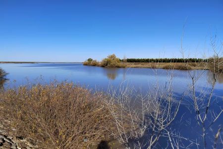 黑龙江富裕县开展禁牧行动守护碧水清河