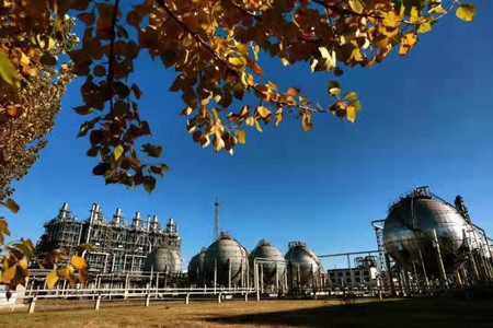 大庆石化前三季度利润位居中国石油炼化板块首位