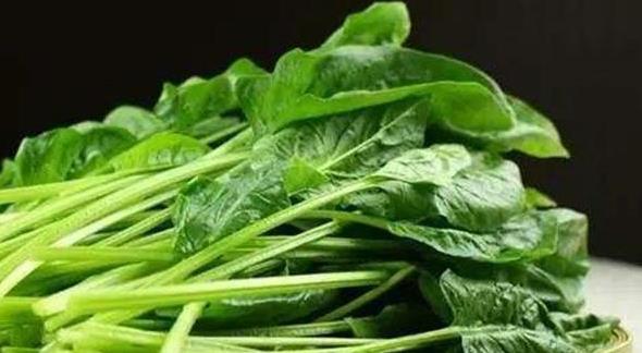 菠菜价格疯涨！价格翻了十几倍，为何菜农反而更愁了？