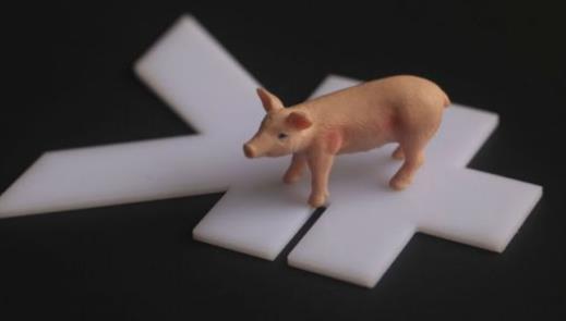 近半月猪肉价格上涨28.52% 业界称此轮反弹或不可持续