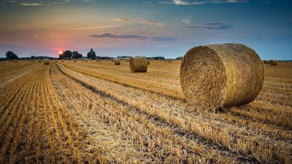 秸秆&ldquo;变身&rdquo;忙 农民解&ldquo;心忧&rdquo;&mdash;&mdash;黑龙江多举措推动秸秆综合利用