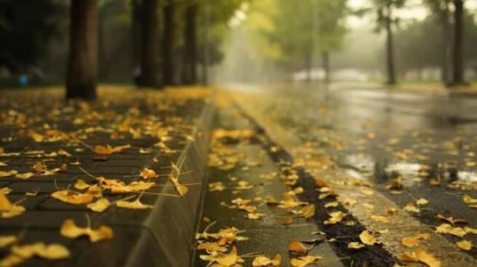 入秋以来最强冷空气来袭&nbsp;气象专家：部分地区气温将&ldquo;断崖式&rdquo;下降