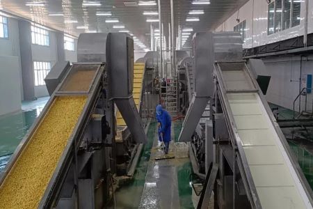 创新四分四定机制 黑龙江甘南县促进村级集体经济健康发展