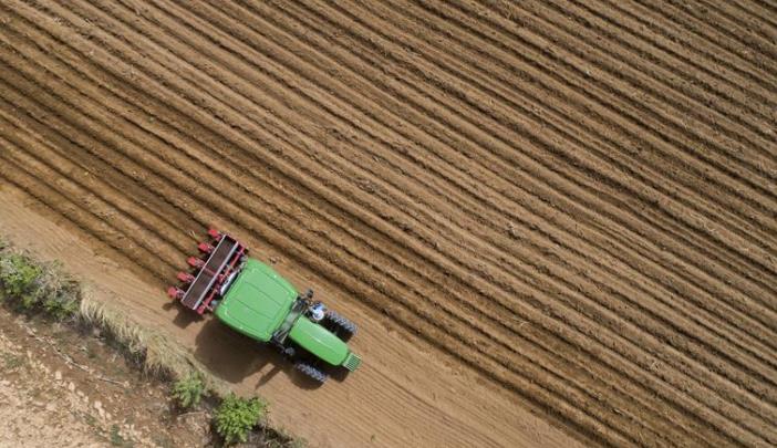 这可是个好消息！全国冬小麦播种过九成