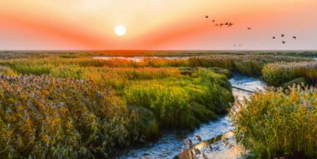 【城市百科】盘锦市-中国重要的石油、石化工业基地