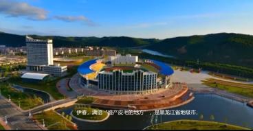 【城市百科】伊春市-中国北方重要的生态旅游城市