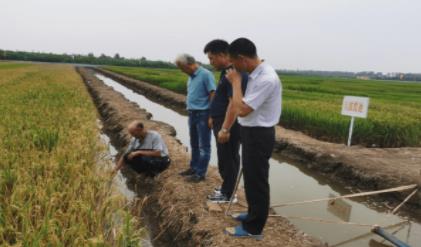 盐碱地里新征程