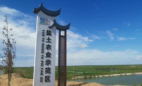 江苏省沿海集团：盐碱地综合开发利用与生态保护相得益彰