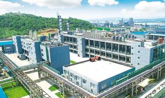 湖北农发集团奋力实现首月“开门红”