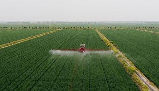 江苏省沿海集团：现代农业经营质效稳步提升