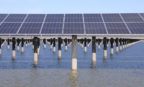 发电养殖两相宜，灌云洋桥项目全力打造“渔光互补”示范名片