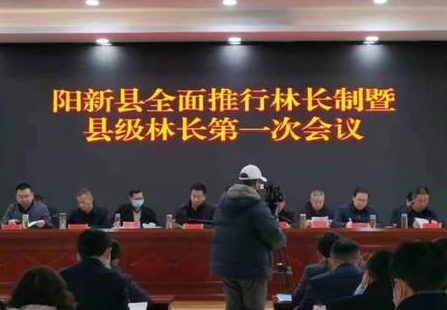 全面推行林长制 湖北阳新县四级护林体系守护一方绿水青山