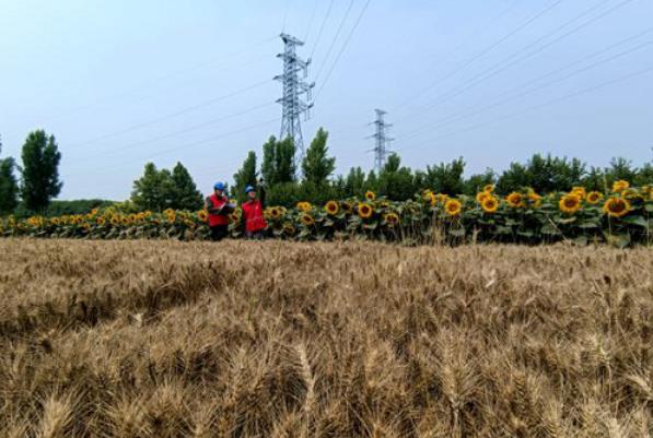 国家电网迎峰度夏保供电 “三夏”用电服务零距离