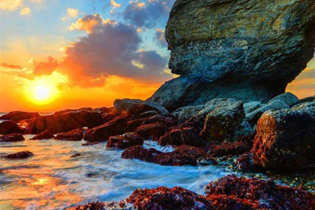 中国工程院院士为辽宁企业发展建言献策