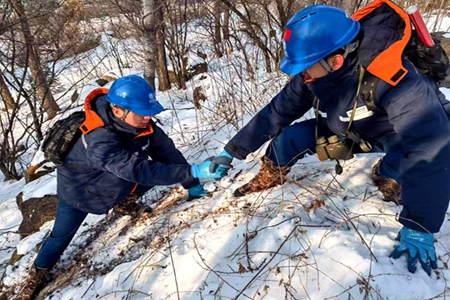 国网牡丹江供电公司：让电力输送万无一失