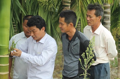 把论文写在椰区热地，刘立云获文昌市2023&ldquo;最美科技工作者&rdquo;称号