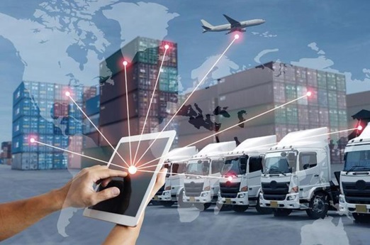 王坤婷：冷链物流智慧化转型与未来展望