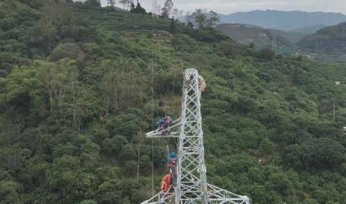 福建云霄供电：线路技术改造 为山区发展“添动力”