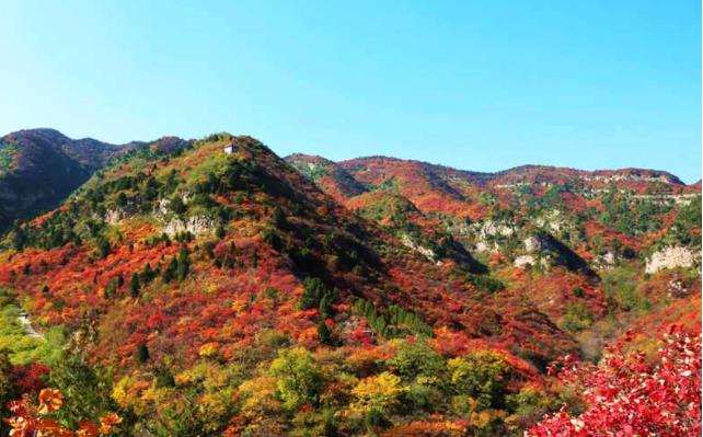 河北井陉县：深化林权制度改革让绿色群山变成富民靠山