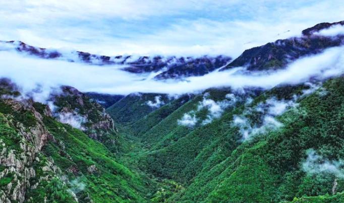 燕赵环保世纪行之走进小五台-保护野生动植物 绘就生物多样性美丽画卷