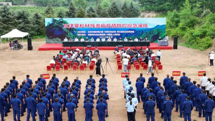 2024年京津冀联手防治林草有害生物2300万亩次