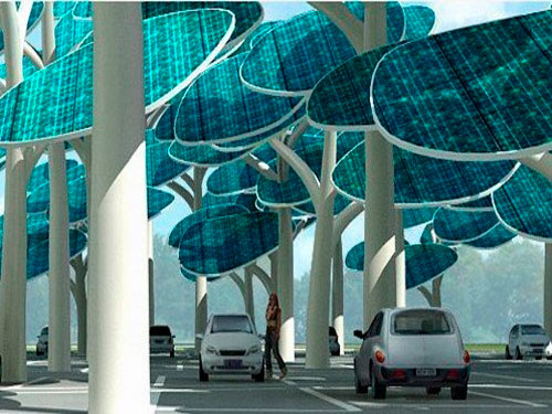 美国研究人员发现树叶也可做电池