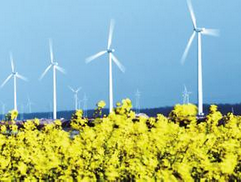 别再说能源结构不合理都是资源禀赋的错了!