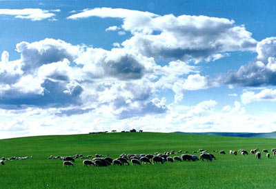 内蒙古设“环保母基金”初始规模40亿元