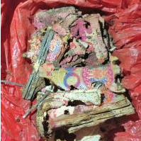 两万现金埋地下 白蚁啃成钱渣渣