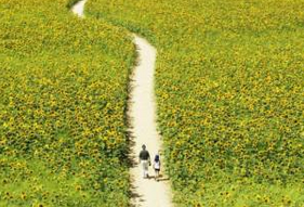 七九河开八九雁来 昨天进入七九气温逐步回升