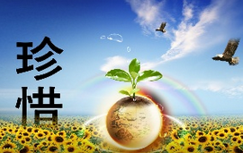 女大学生每晚睡前拔头发 8年来拔光满头秀发