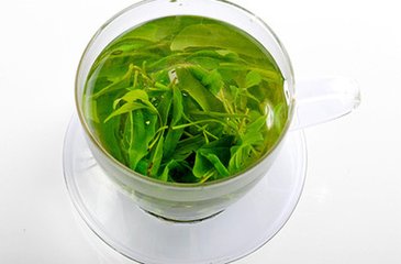 哪些人不宜饮用苦丁茶？ ​