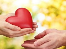 虾并非人人可食 莫吃虾头毒素多