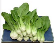 深圳菜价节后开始回落 仍比平时高五成