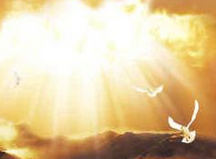 能源局：1月份全国没有发生较大以上电力人身伤亡事故