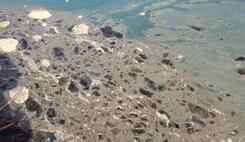 四乱”屡禁不止 秦岭陷入边保护边破坏怪圈