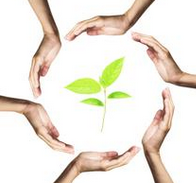 男人易秃顶 都是睾酮惹的祸