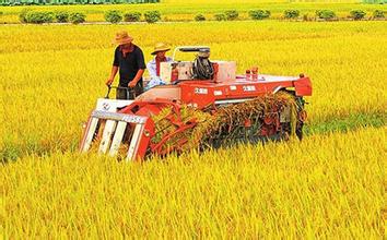 中国将加强面向&ldquo;三农&rdquo;职业教育