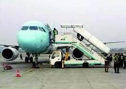 航班因出现老鼠返航 专家 会咬破管线威胁安全