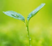 七大领域国企混改试点提上日程 航空军工等重组预期较强