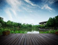 “旅游社会”呼唤旅游业加速转型