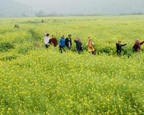 旅游淡季至 国内游价格总体下调30%~50%