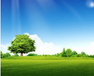 十部门17条举措力促绿色消费发展 新消费时代来临