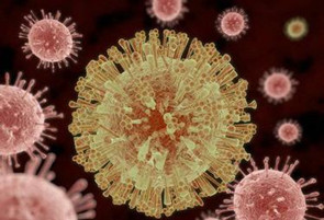 我国首次分离出两株寨卡病毒