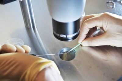 医改列入全国政协十二届四次会议重点协商议题